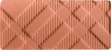 Burberry Repair Blush