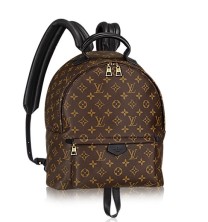 Louis Vuitton Palm Springs Backpack MM