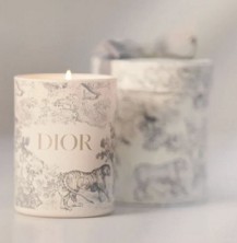 Dior Toile de Jouy