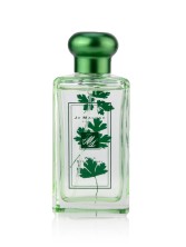 Jo Malone Wild Strawberry Parsley