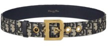 Dior Montaigne Oblique