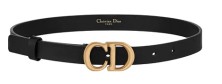 Dior Saddle CD