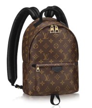 Louis Vuitton Palm Springs Backpack PM