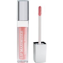 Dior Addict Lip Maximizer