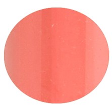 Helena Rubinstein Wanted Gloss Shine Fascination