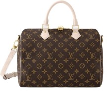 Louis Vuitton Speedy 30 Monogram