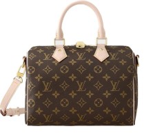 Louis Vuitton Speedy 25 Monogram